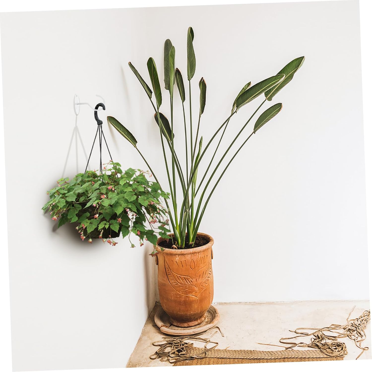  4pièces Muraux Fer Supports Décoratifs Pour Plantes Paniers Et Accessoires Fixation Simple Pour Balcon Jardin Et Intérieur Blanc